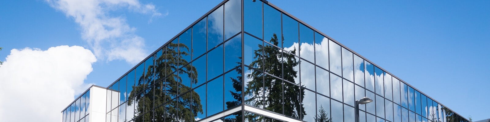 Immobilienwirtschaft, Bauwirtschaft